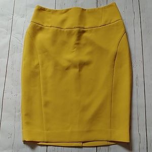 The Limited High Waist Skirt